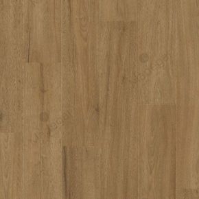 Tarima Laminada, Bisellatura PRO-61125-V4, Lamas 8mm  AC5 32 en Roble Escorial. BALTERIO